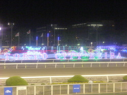夜競馬0.JPG
