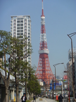 東京タワー0331.JPG
