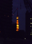 東京タワー06夕方.JPG
