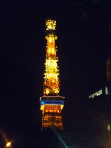 東京タワー110603.JPG