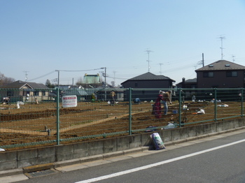 板橋畑１.JPG